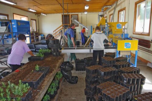 wniosek o dopłatę do posadzenia lasu, lasy, zalesianie, ARiMR