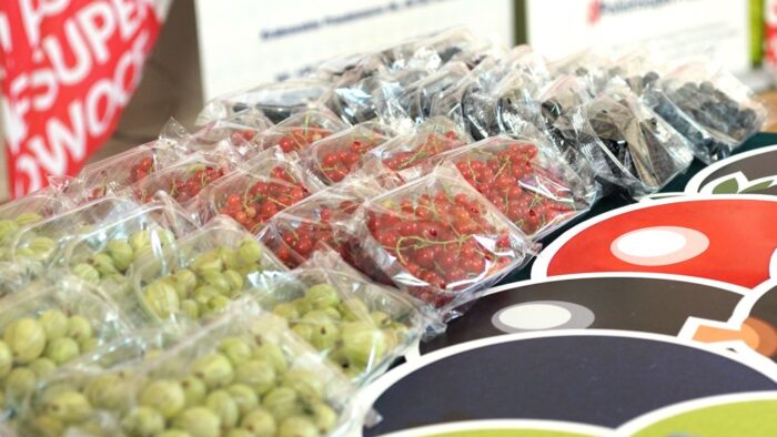 sezon na  polskie superowoce, Witold Boguta, Ireneusz Komorowski,