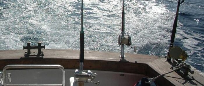 jachy komercyjne, połowy rekreacyjne na bałtyku, MGMiŻŚ