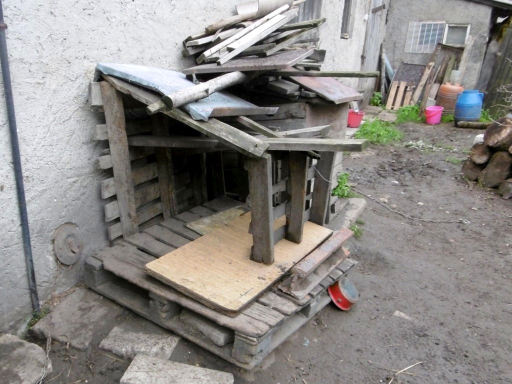 psy atakują zwierzęta hodowlane, gmina Tuchów, powiat tarnowski,