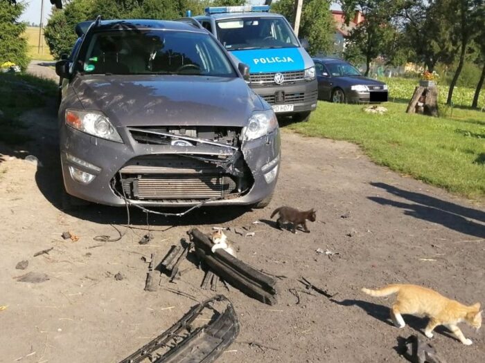 psy zniszczyły samochód, gmina Dołhobyczów, powiat hrubieszowski, Edyta Krystkowiak