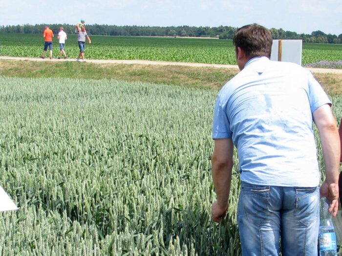 dopłaty do składek ubezpieczenia, ubezpieczenie upraw i zwierząt, krir, ministerstwo rolnictwa