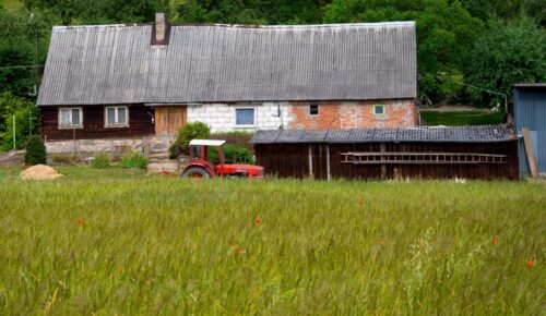 kleszcze, KZM, kleszczowe zapalenie mózgu, wieś, szczepienie
