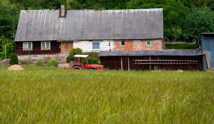 kleszcze, KZM, kleszczowe zapalenie mózgu, wieś, szczepienie
