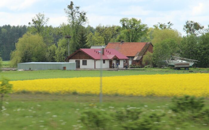 zmiana czasu, PSL, projekt ustawy, czas letni, czas zimowy, prawo