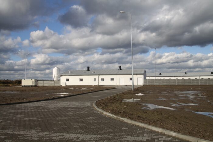 obrońcy praw zwierząt, organizacje prozwierzęce, hodwocy trzody chlewnej, prawa zwierząt, hodowcy zwierząt, świnie