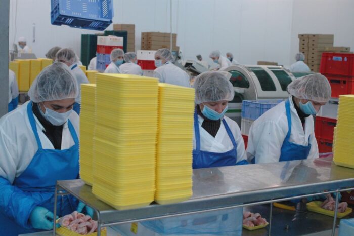 drób, produkcja, Farmio, Krajowa Rada Drobiarstwa - Izba Gospodarcza