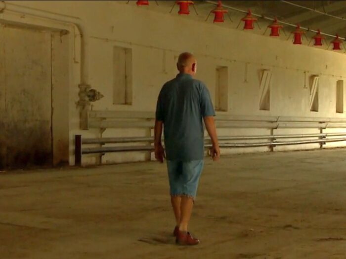 grypa ptaków, lubiszyn, zagazowane indyki, Czesław Krupieńczyk, ferma drobiu