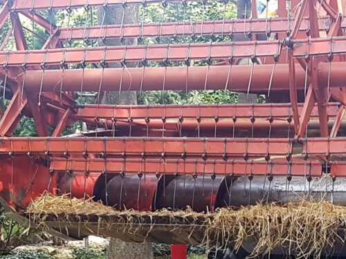 ręka w hederze kombajnu, gmina Rudnik, powiat  krasnostawski, Jolanta Babicz