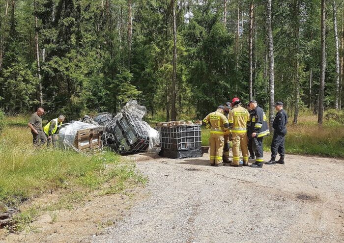 las, ściółka, pożary lasów, susza