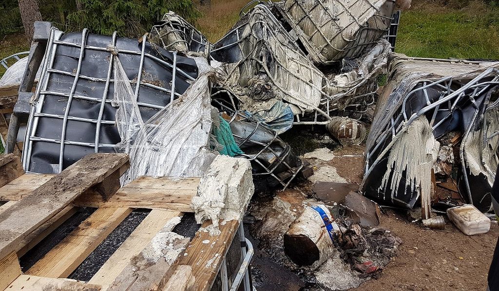 las, ściółka, pożary lasów, susza