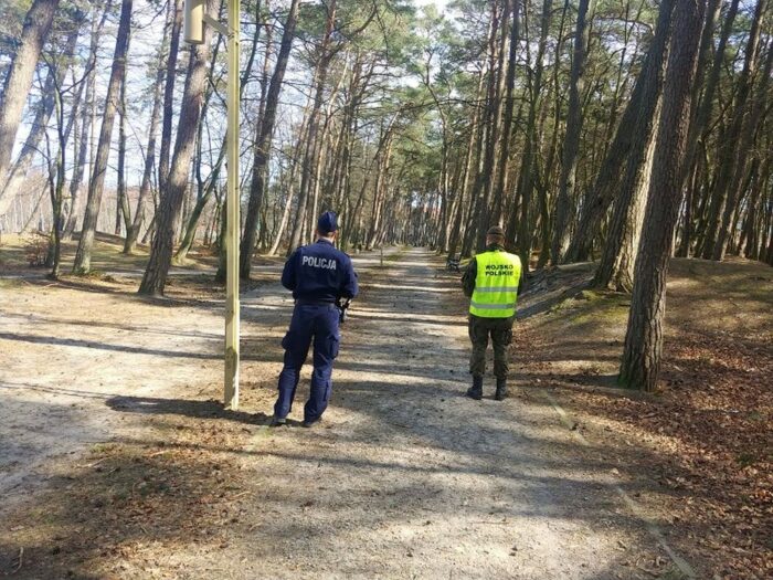 doraźne zgrupowania zadaniowe, dziki, ASF, odstrzał dzików