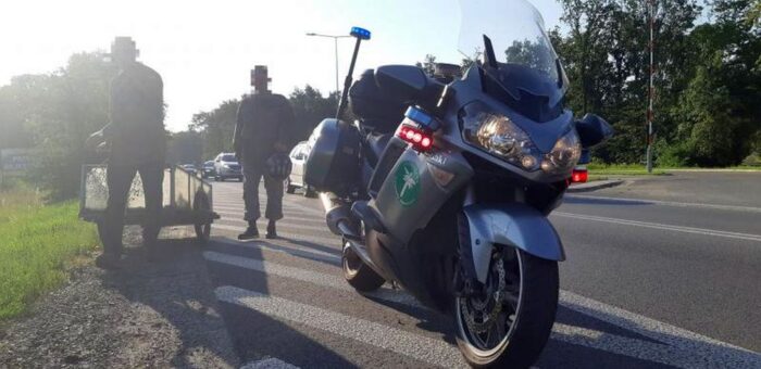 zwózka owoców, brzoskwinie, WITD Wrocław