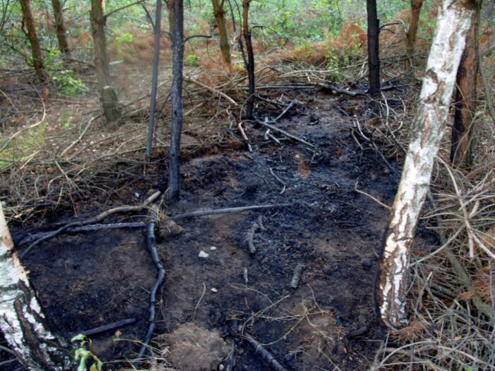 podpalenia, kpp mława, anna pawłowska, Zalesie, Garlino