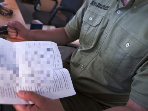 pracownicy sezonowi w rolnictwie, praca w rolnictwie, straż graniczna, medyka