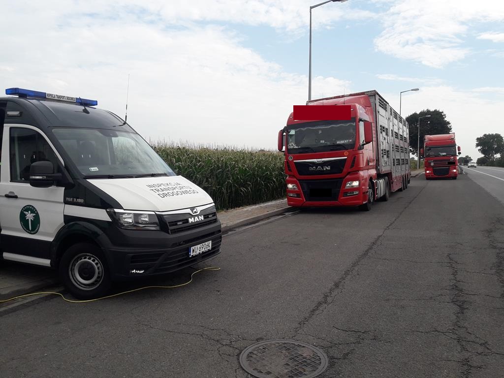 Instytut Ekonomiki Rolnictwa i Gospodarki Żywnościowej, poglowie świń w polsce, trzoda chlewna
