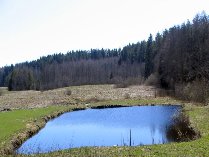 susza, Kalifornia, Stany Zjednoczone