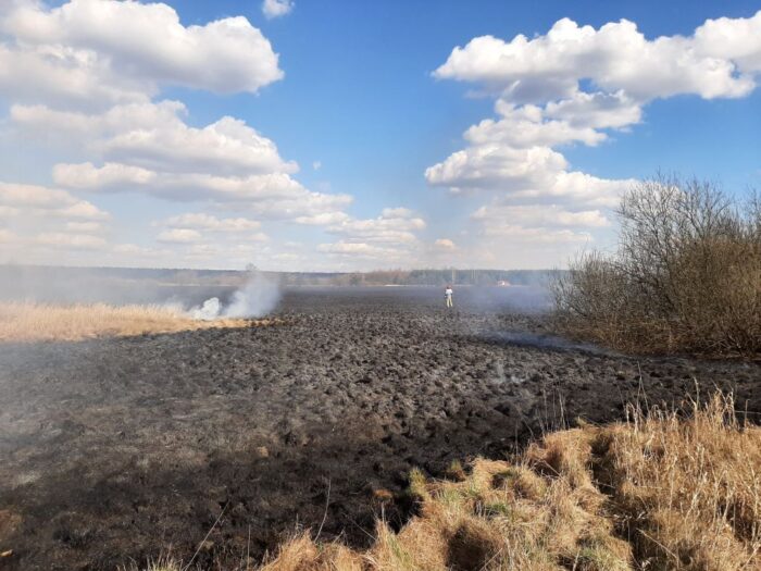 Wypalanie gruntów rolnych, jerzy wilk, walka z kleszczami, Jan Białkowski