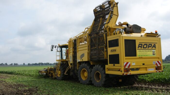 kampania buraczana 2020/2021, zbiór buraka cukrowego, przerób korzeni, KZPBC, Rafał Strachota, KSC, Pfeifer und Langen