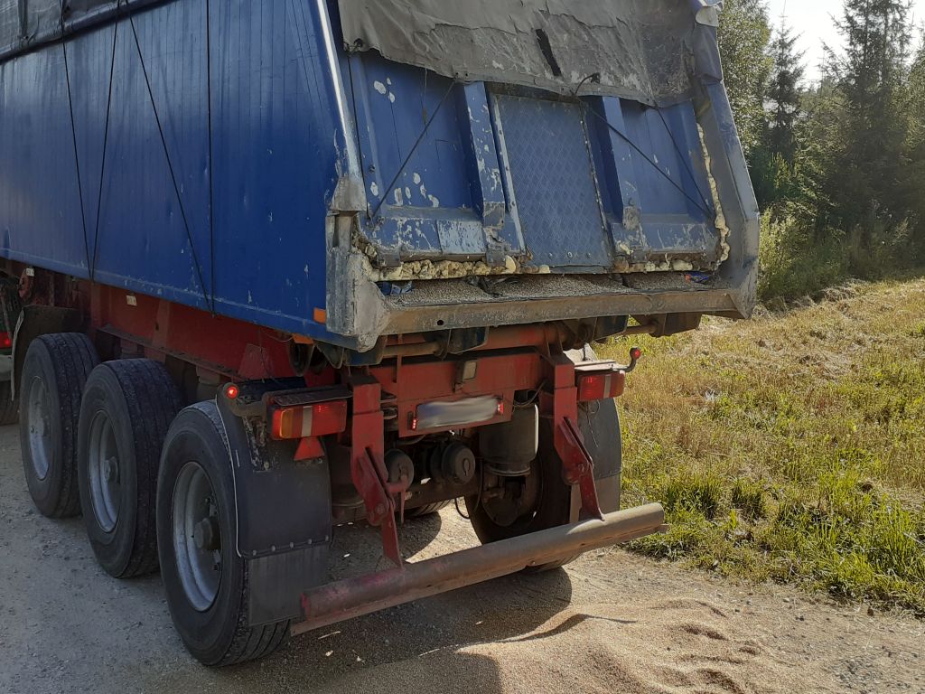 produkcja zbóż, pszenica, zboża paszowe