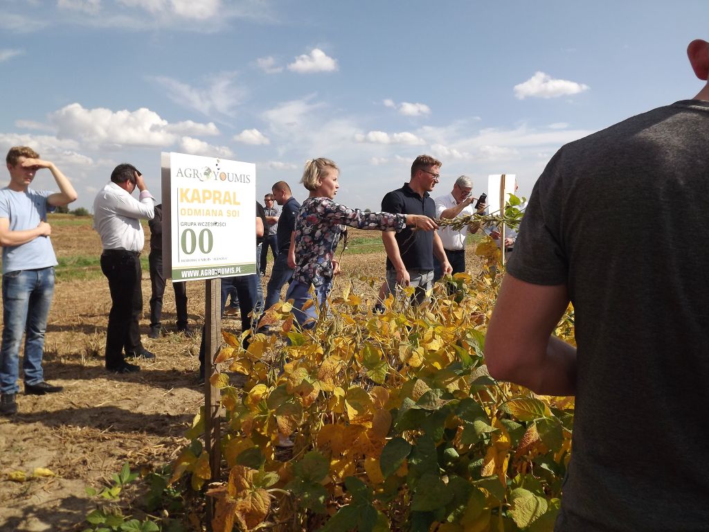 Dzień soi Agroyoumis, odmiany soi, Agroyoumis, warsztaty polowe o soi, Leszek Szczepański, uprawa soi