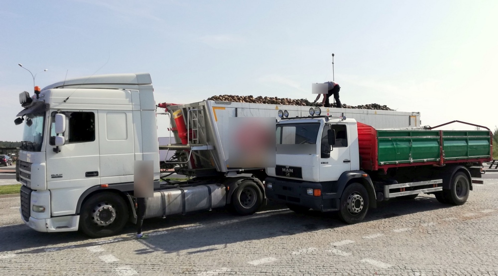 transport buraków, inspekcja transportu drogowego, zachodnia obwodnica gniezna, droga ekspresowa S5