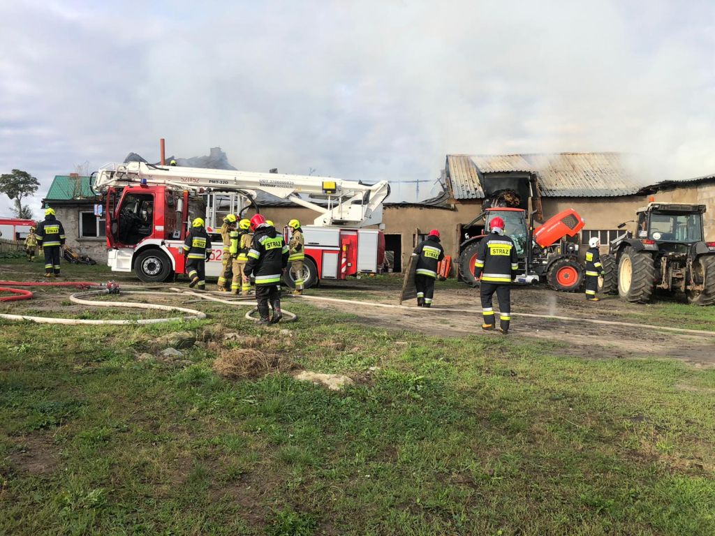pożar chlewni, zbrachlin, gmina pruszcz pomorski, powiat świecki