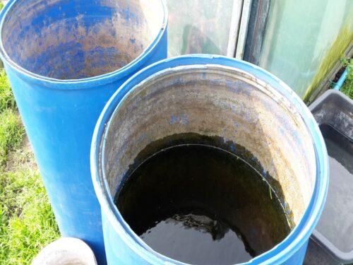 program deszczówka, nawadnianie terenów zielonych, retencja  wód opadowych