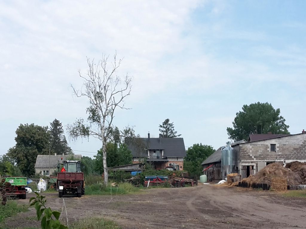 pomoc covidowa, wsparcie dla rolnictwa, arimr, prow 2014-2020