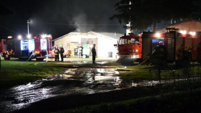 produkcja indyków, rynek drobiu, pasza grower/finisher