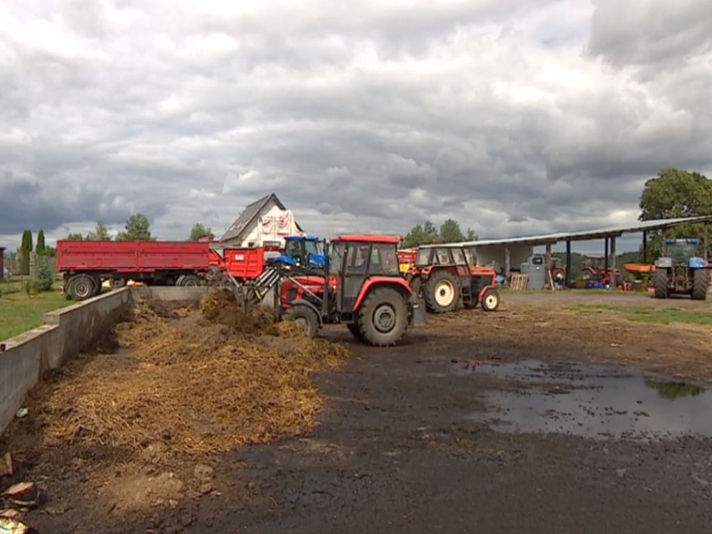 karty SIM, konto bankowe, świebodzin, grupa producencka, Wojciech Jabczyński
