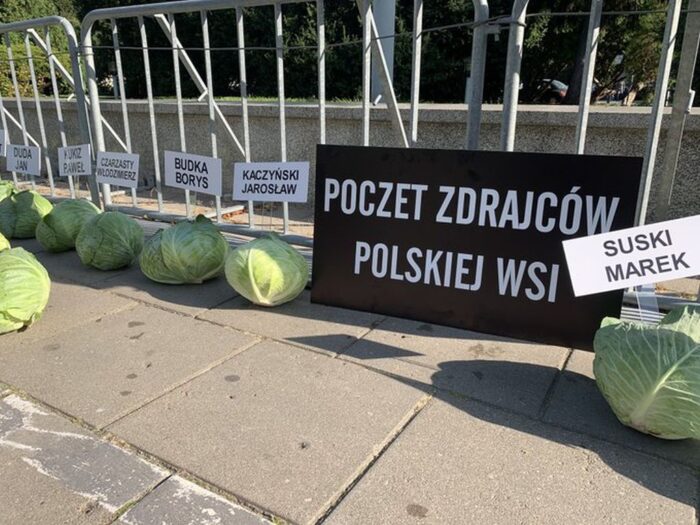 kapusta, warzywa, ministerstwo rolnictwa, Dow AgroSciences Polska, instrukcja, etykieta