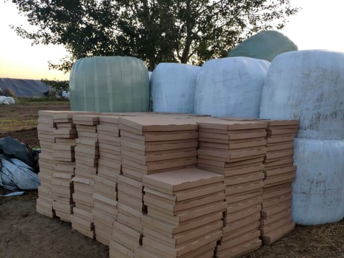 Szydłowo, powiat mławski, kartony z nielegalnym tytoniem, Anna Pawłowska