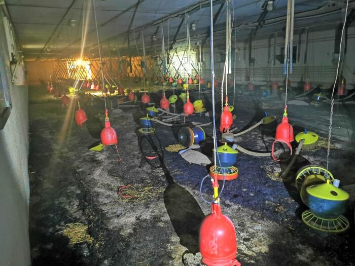 pożar kurnika, Kębłowo, powiat wolsztyński, podpalenie