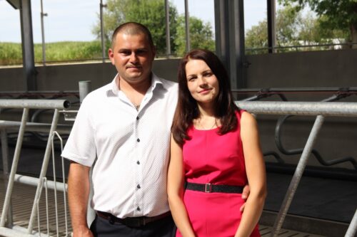 GEA, obora, krowy mleczne, bydło mleczne, hala udojowa, mleko, produkcja mleka, poidła, świetlik, stół paszowy, pasza