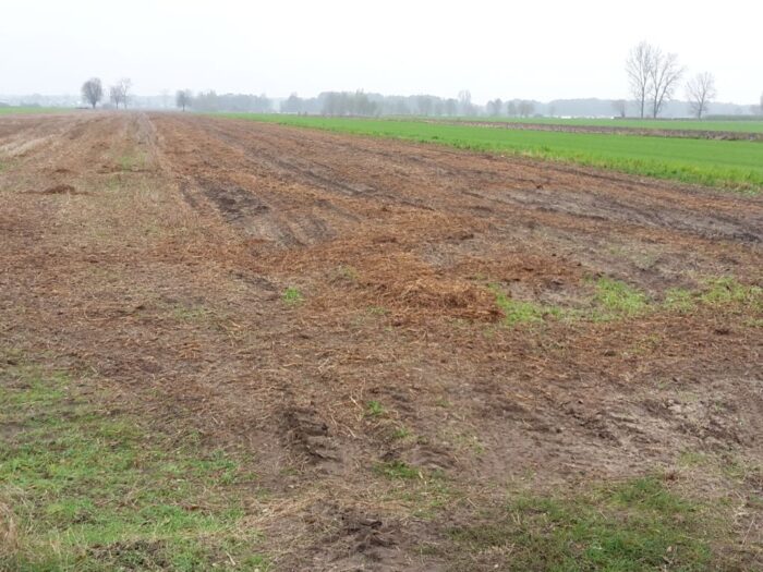 fosforowe nawozy mineralne, nawozy organiczne, Nature Communications