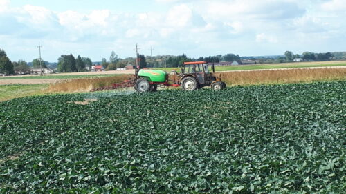 ciągnik, oprsykiwacz, rzepak, Sahryń