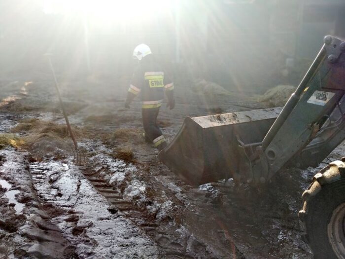 pożary w gospodarstwach, podpalenia, rakoniewice, Byszów, powiat sandomierski