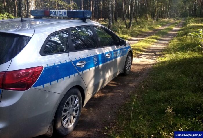 jeleń zaatakował w lesie czworo grzybiarzy, warmińsko-mazurskie, policja