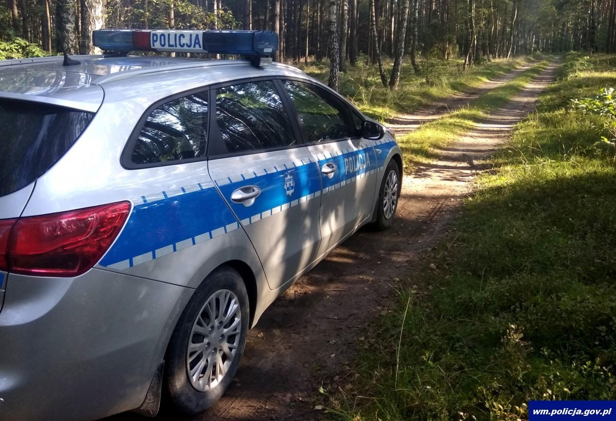 jeleń zaatakował w lesie czworo grzybiarzy, warmińsko-mazurskie, policja