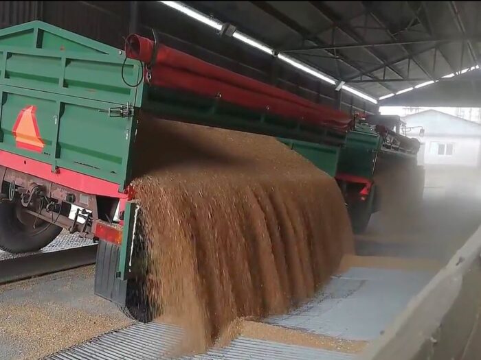 skup zboża i rzepaku, przewaga kontraktowa na rynku zbóż, uokik, tomasz chróstny, krir