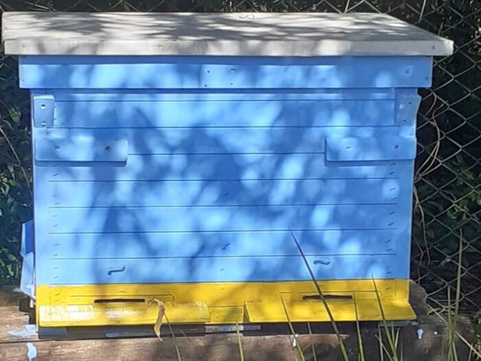 kradzież uli z pszczołami, jałowiec, powiat lubański, Justyna Bujakiewicz-Rodzeń