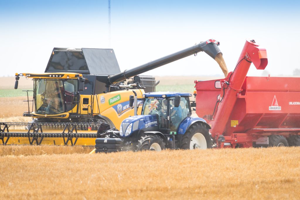 zbiory zbóż, zbiory owoców, zboża, owoce, rzepak, gus