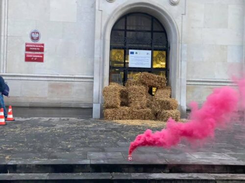 Michał Kołodziejczak, agrounia, protest rolników, piątka dla zwierząt