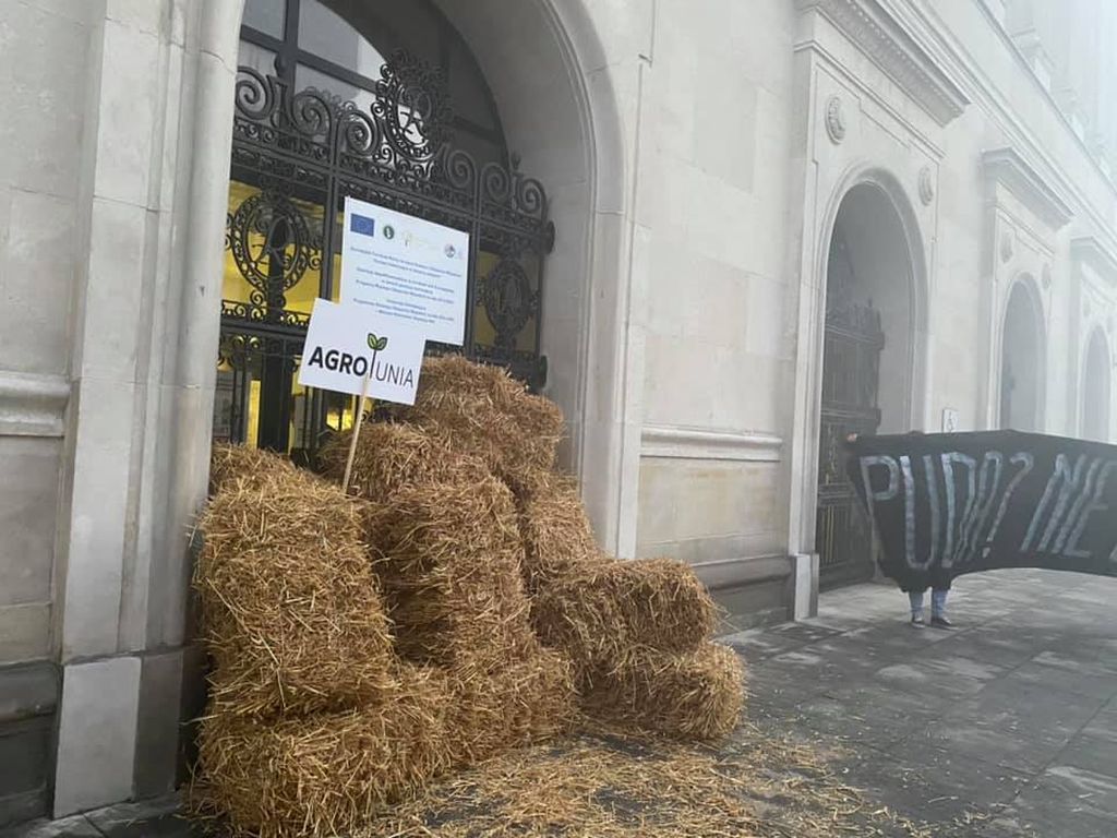 Michał Kołodziejczak, agrounia, protest rolników, piątka dla zwierząt
