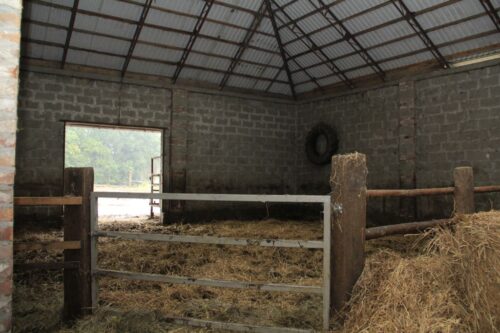 pracownicy sezonowi w rolnictwie, związek rolniczy FNSEA, Christiane Lambert, John Hardman