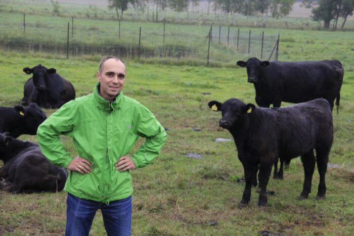 bydło mięsne, rasa angus, produkcja odsadków, pastwiska, obora,