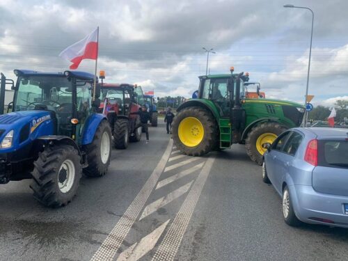 ustawa o ochronie zwierząt, piątka dla zwierząt, protesty rolników, świętokrzyskie