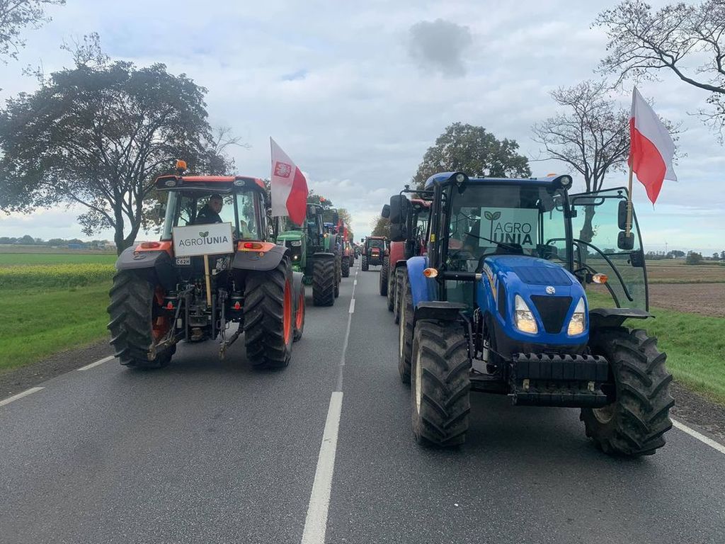 Michał Kołodziejczak, agrounia, protest rolników, piątka dla zwierząt
