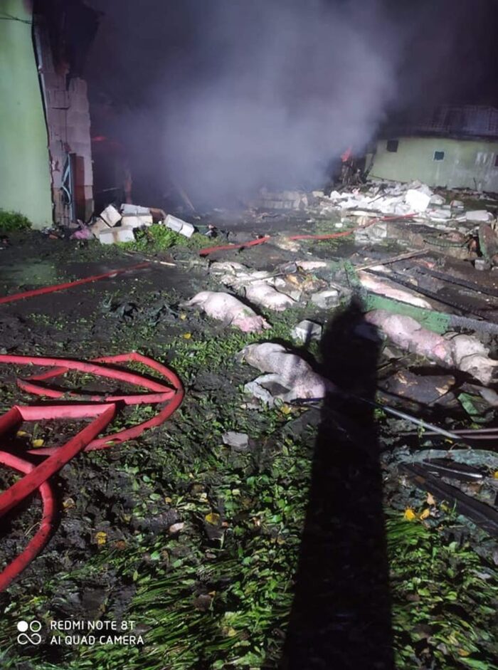 pożar chlewni, galinki, powiat rawski, Jędrzej Pawlak